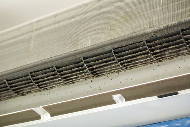 Best Best Air Duct Cleaning Company  in Pixley, CA